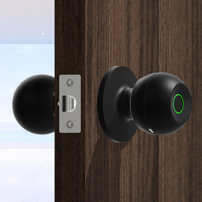 Digital Door Knob